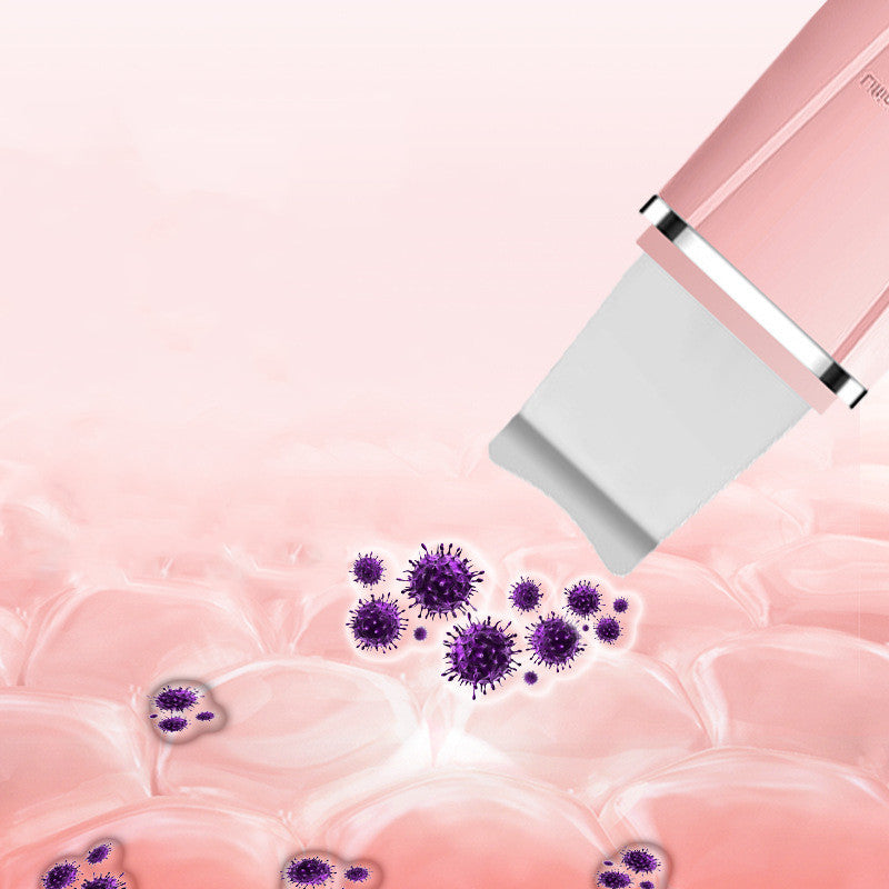 Beauty Equipment Ultrasonic Importer